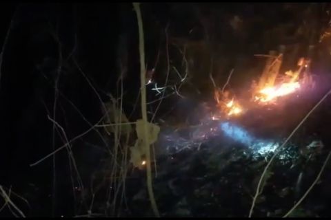 Hutan seluas 3 hektar di Jember terbakar