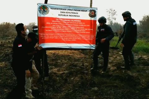 KLHK segel 2 perusahaan sawit di Kalteng