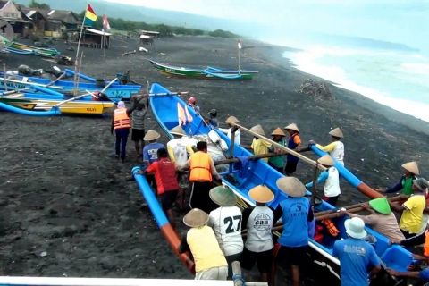 Menteri Susi sebut pertumbuhan pajak perikanan capai 24,7%
