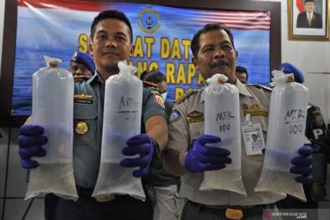 TNI AL gagalkan penyelundupan baby lobster