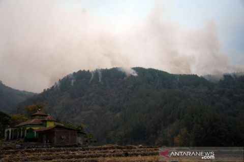 Kebakaran hutan pinus Gowa