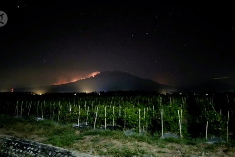 7 warga negara Singapura terjebak kebakaran Gunung Raung