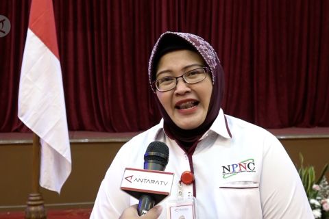 Bulan Bahasa, upaya pelestarian Bahasa Indonesia