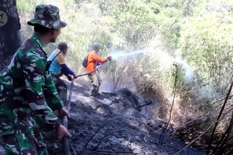 Ratusan personel TNI-Polri atasi kebakaran Gunung Semeru