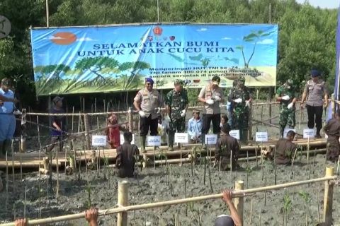Lanal Banten tanam 5.800 pohon mangrove di Teluk Banten