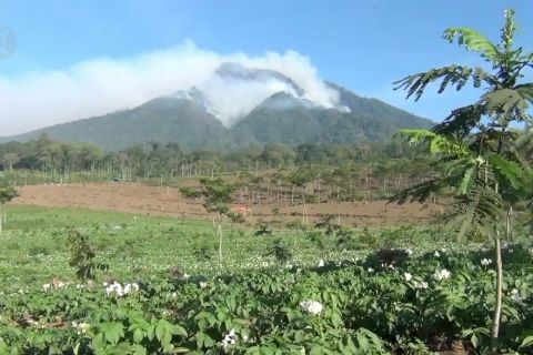 4 gunung di wilayah Sekar Kijang terbakar