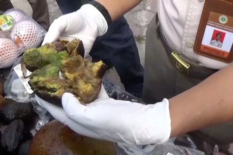 Buah dan tanaman dari 6 negara dimusnahkan