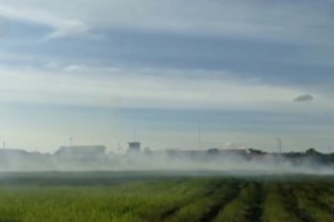 Lahan sekitar Bandara Haluoleo terbakar, penerbangan tertunda