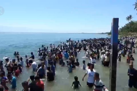 Ribuan warga Palu mandi safar untuk tolak bala