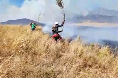 Kawasan Rinjani terbakar, ratusan pendaki dievakuasi