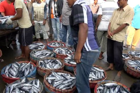 Penegakan hukum di laut demi penuhi gizi anak bangsa