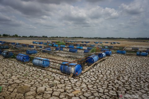Penyusutan air di Waduk Mulur, Sukoharjo akibat kekeringan