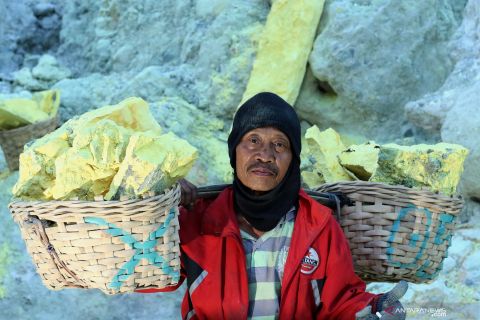 Melihat perjuangan penambang belerang di kawah Ijen