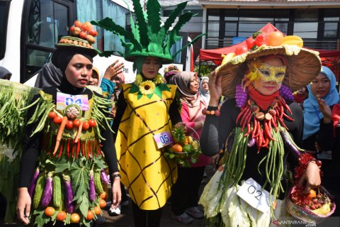 Kampanye makan sayur