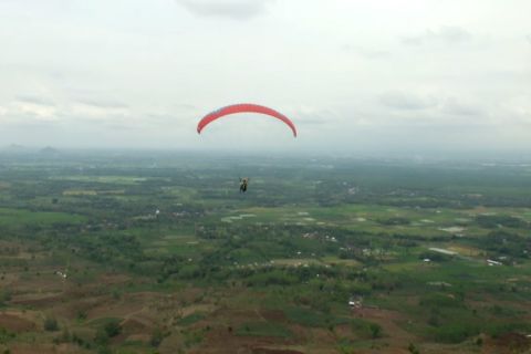 89 atlet paralayang meriahkan Kejurnas paralayang di Jember