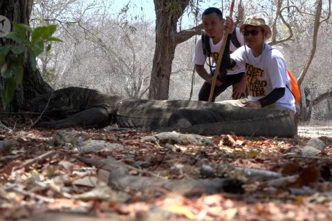 Menikmati wisata ekstrem nan eksklusif di Pulau Komodo