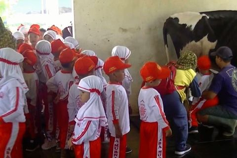 Mendekatkan anak TK pada lingkungan dan binatang