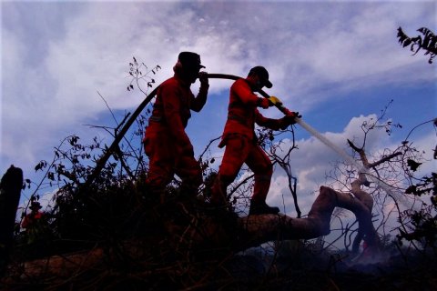 Karhutla Gambut Mendekati Pemukiman Warga Di Kolaka Timur