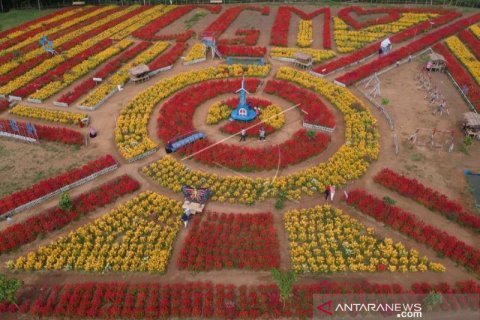 WISATA TAMAN BUNGA DHARMASRAYA