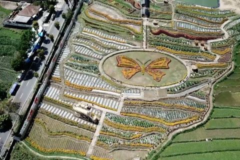 Magetan punya kebun bunga 'instagramable'