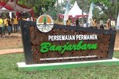 Persemaian Keren Kalsel hasilkan 1  juta pohon yang dibagikan gratis