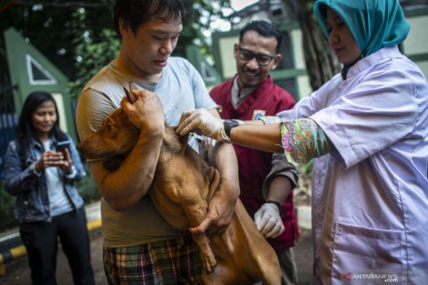 Pemeriksaan kesehatan hewan terdampak banjir