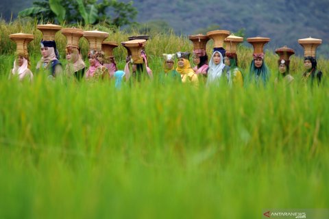 Batagak Panghulu, tradisi peresmian seorang penghulu di Minangkabau
