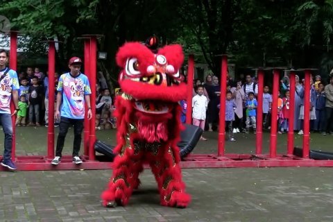 Ketika kebun binatang dimeriahkan atraksi barongsai