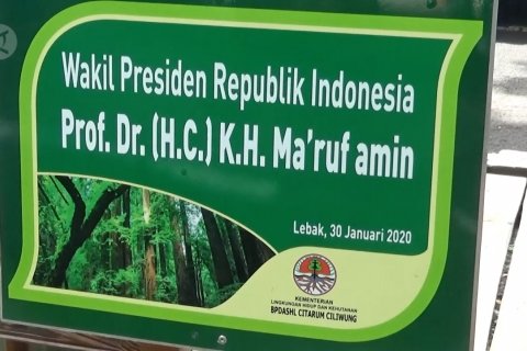 Wapres Ma'ruf Amin tanam pohon Jambu Jamaika