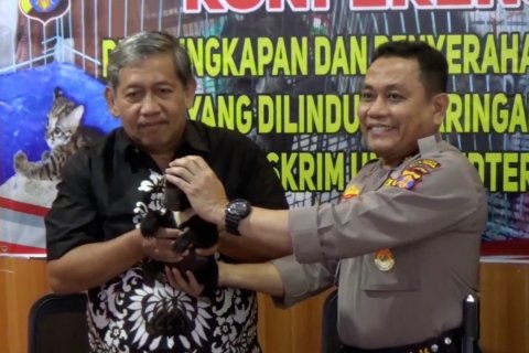 Polresta Balikpapan serahkan satwa dilindungi ke BKSDA