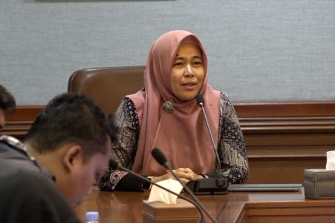 Menristek/Kepala BRIN apresiasi karya Arvilla Delitriana