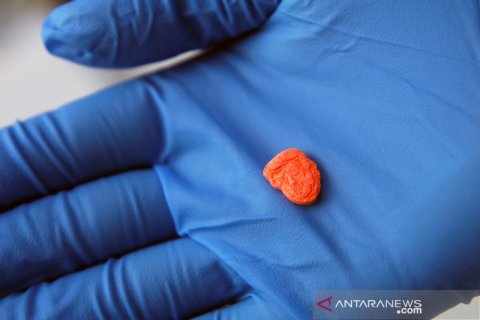 Pil ekstasi berbentuk wajah Donald Trump disita polisi