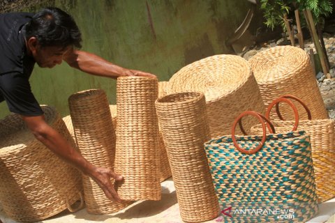 Pemanfaatan tanaman enceng gondok untuk bahan kerajinan