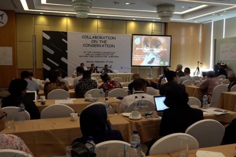 Identifikasi lahan untuk konservasi orang utan Tapanuli