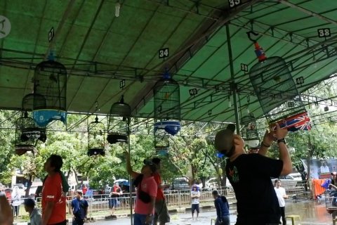 Festival Burung Berkicau Nusantara 2020