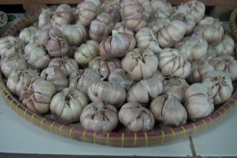 Disdagin Kota Bandung duga spekulan bawang putih manfaatkan isu corona