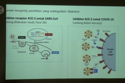 Teliti penawar virus Corona, LBM Eijkman butuh banyak antigen