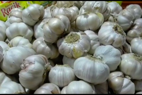 Harga bawang putih di kota Balikpapan meroket