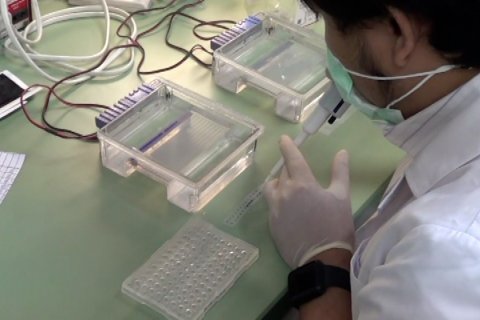 Unair siap bantu pemerintah deteksi virus corona