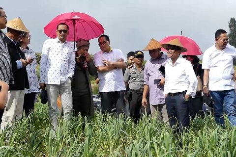 DPR RI dorong perluasan tanam bawang putih