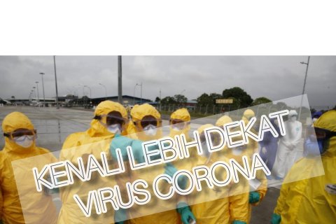 Kenali lebih dekat virus corona - dari cara terhindar hingga obat penawar