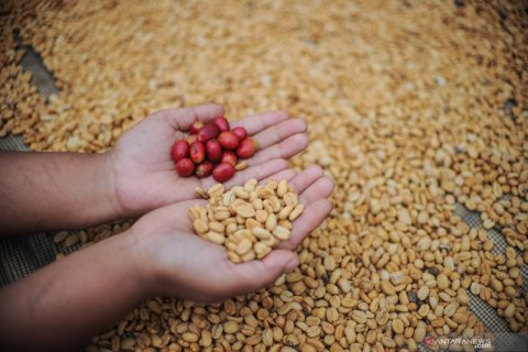 Kopi Gunung Puntang juara lomba internasional di Paris