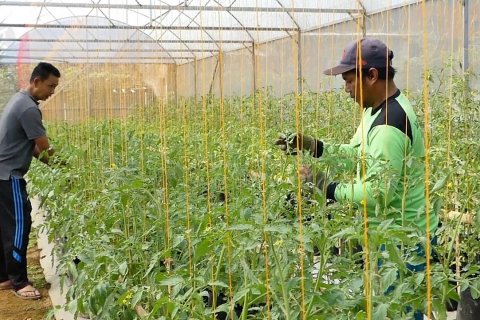 HKTI ingin kolaborasi teknologi pertanian se-Asia