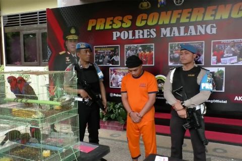 Polisi bongkar jaringan perdagangan satwa dilindungi