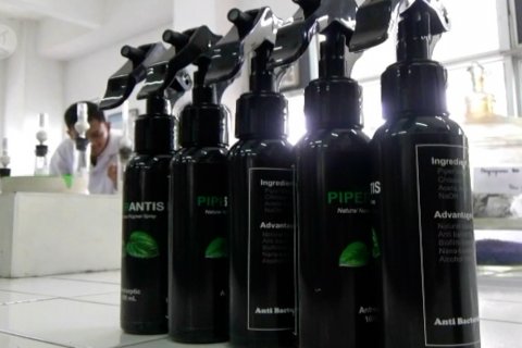 Penyanitasi tangan daun sirih alternatif cegah corona