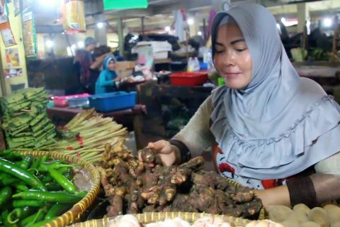 Dianggap bisa menangkal virus corona, harga jahe merah melejit