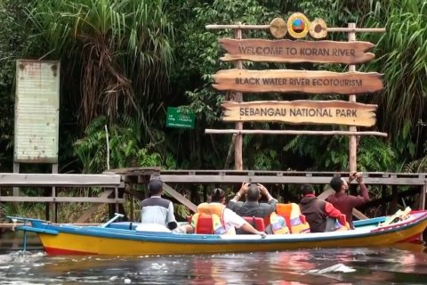 Menyusuri pekatnya air hitam Sungai Koran Sebangau