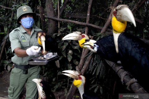 Perawatan satwa di Royal Safari Garden