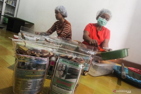 Komoditas tanaman herbal tingkatkan nilai ekspor