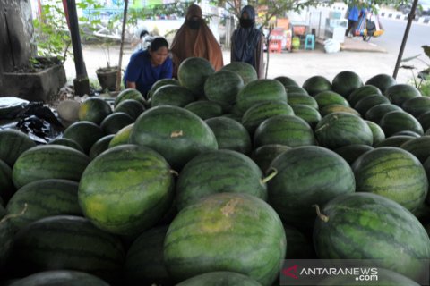 Permintaan semangka tinggi di bulan Ramadhan